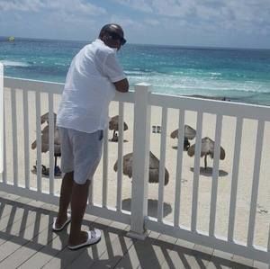 Meet your Posher, Sol